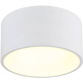 Stropní svítidlo GLOBO Raymond, 12 W bílé

