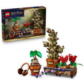 Stavebnice LEGO® Harry Potter™ 76474 Rostliny z hodiny bylinkářství v Bradavicích 

