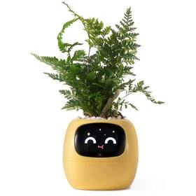 Chytrý květináč Plantsio IVY žlutý

