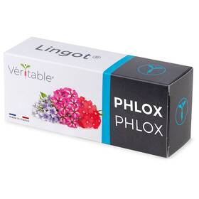 Semínka Véritable Lingot Flox 


