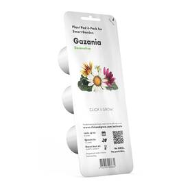 Semínka Click and Grow Gazánie (3 ks) 

