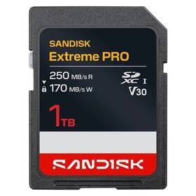 Paměťová karta SANDISK 1TB UHS-I U3 (250R/170W) 


