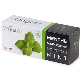 Semínka Véritable Lingot Marocká máta - BIO 

