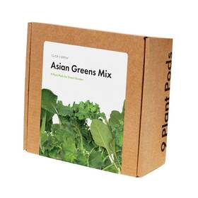 Semínka Click and Grow Mix asijské kuchyně (9 ks) 

