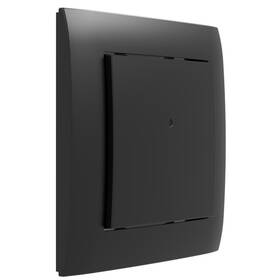 Ovladač INELS 2 tlačítka černá barva
