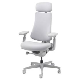 Ergonomická židle LiberNovo Omni, 48 cm šedá

