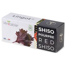 Semínka Véritable Lingot Fialový shiso - BIO 

