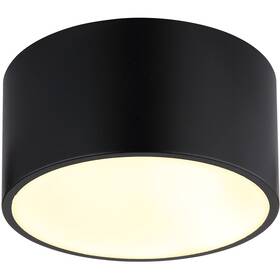 Stropní svítidlo GLOBO Raymond, 12 W černé

