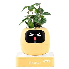 Chytrý květináč Plantsio IVY generace 2 žlutý

