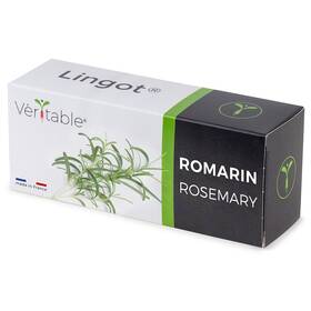 Semínka Véritable Lingot Rozmarýn 


