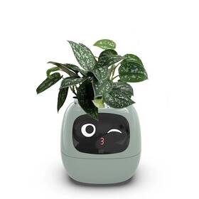 Chytrý květináč Plantsio IVY zelený

