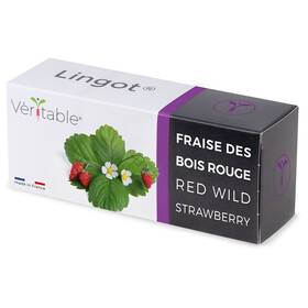 Semínka Véritable Lingot Divoké červené jahody 


