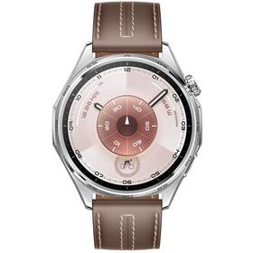 Chytré hodinky Huawei Watch GT 6 46 mm šedá barva
