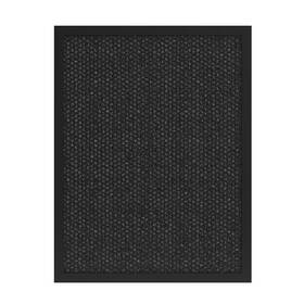 Filtr Tesla Smart Pro L Carbon 
