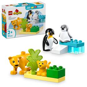 Stavebnice LEGO® DUPLO® 10442 Rodinky divokých zvířat: Tučňáci a lvi 

