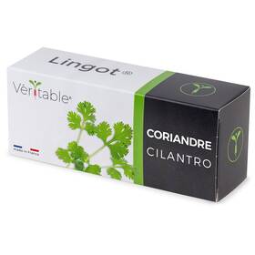 Semínka Véritable Lingot Koriandr 

