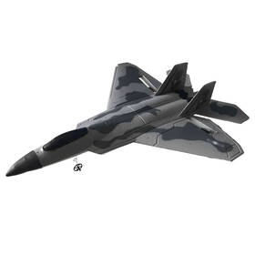 RC letadlo Fleg F-22 Raptor 

