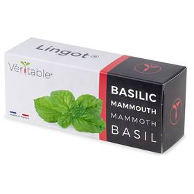 Semínka Véritable Lingot Bazalka mamutí 

