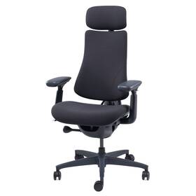 Ergonomická židle LiberNovo Omni, 48 cm černá

