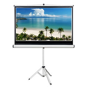 Plátno Aveli stativ 265x149 cm 120" bílé

