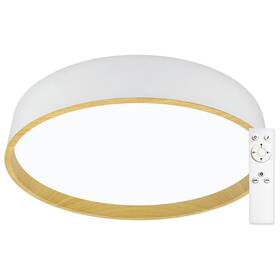 Stropní svítidlo Top Light Dekor 40B RC bílé

