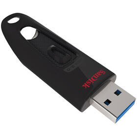 USB Flash SANDISK 256 GB černý

