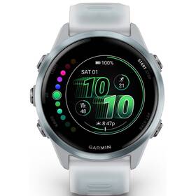 Chytré hodinky Garmin Forerunner 570 - 42 mm (EU distribuce) šedé/světle modré

