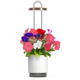 Chytrý květináč Click and Grow HydroVase bílý

