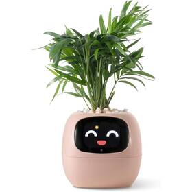 Chytrý květináč Plantsio IVY růžový

