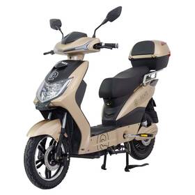 Elektroskútr RACCEWAY E-FICHTL20Ah zlatý

