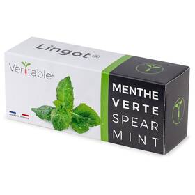 Semínka Véritable Lingot Máta klasnatá 

