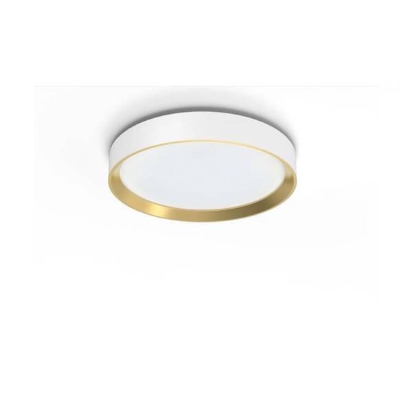 Stropní svítidlo Philips Hanno SS RD 24W 27K W_G bílé

