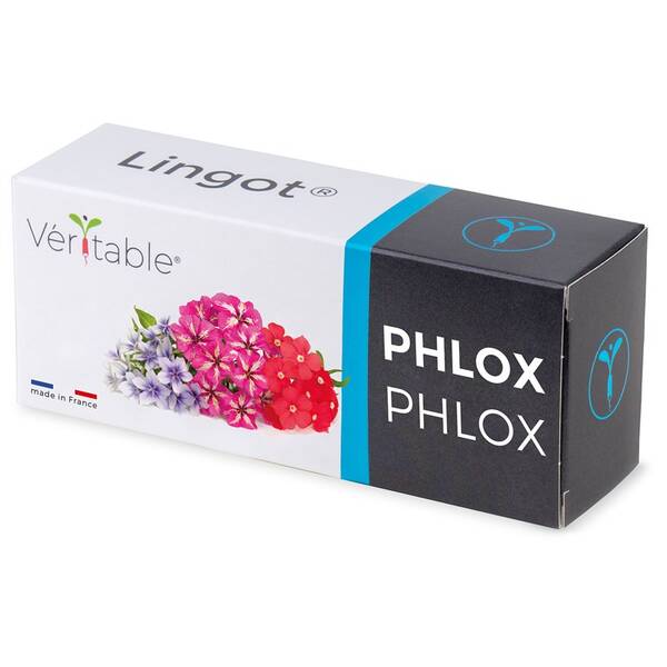 Semínka Véritable Lingot Flox 

