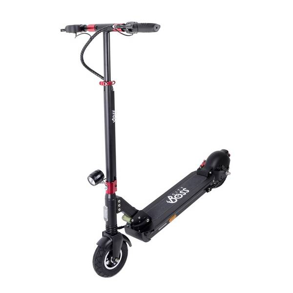 Elektrická koloběžka City Boss RX5L 

