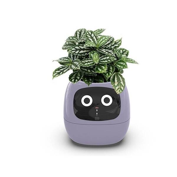 Chytrý květináč Plantsio IVY fialový

