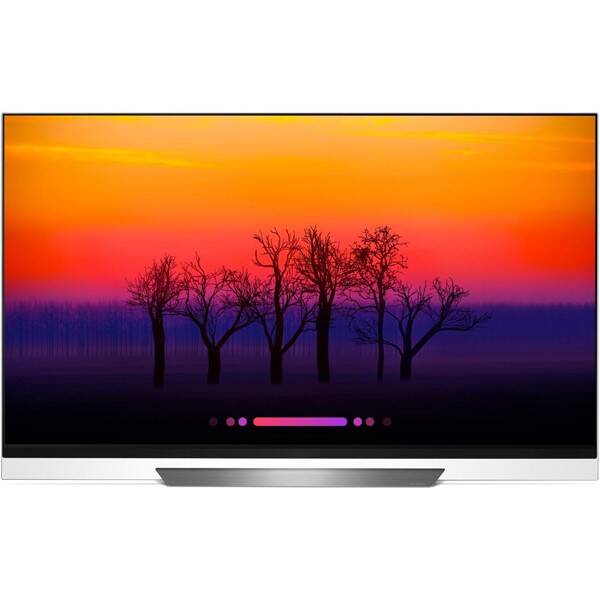 Televize LG OLED65E8PLA 

