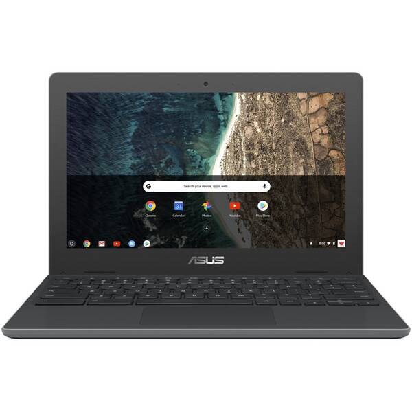 Notebook Asus Chromebook C204 šedý


