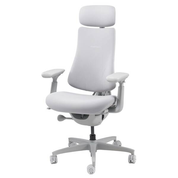 Ergonomická židle LiberNovo Omni, 48 cm šedá

