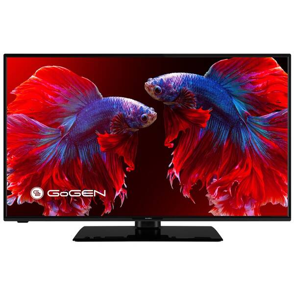 Televize GoGEN TVF 43P452T 

