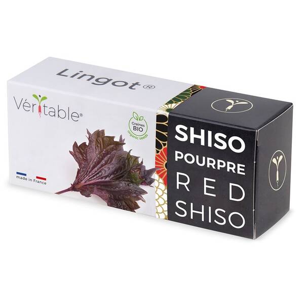Semínka Véritable Lingot Fialový shiso - BIO 

