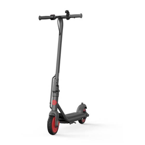 Elektrická koloběžka Ninebot by Segway Zing C20 

