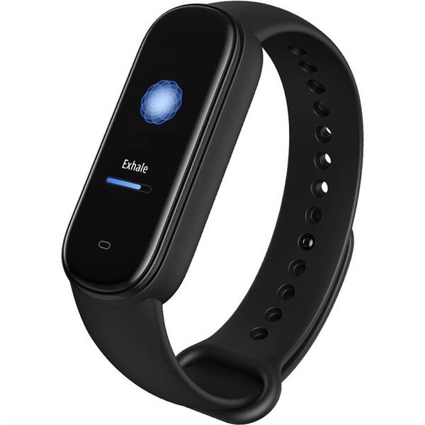 Fitness náramek Amazfit Band 5 černý

