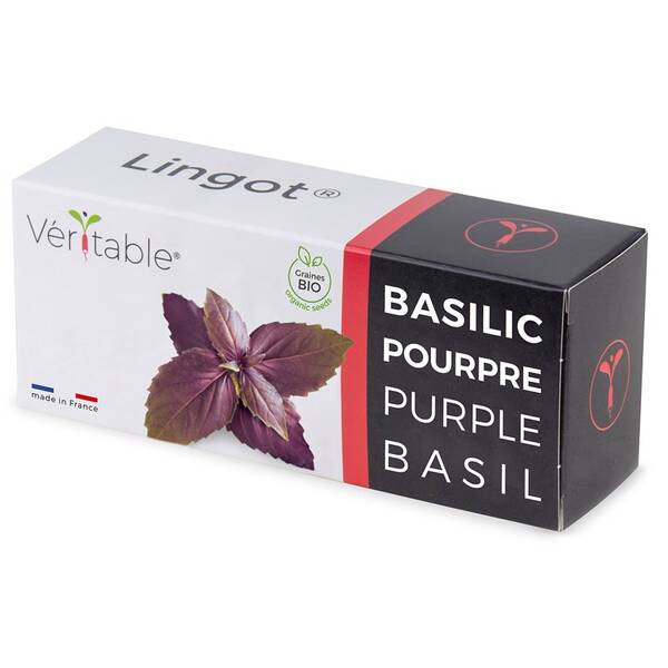 Semínka Véritable Lingot Fialová bazalka - BIO 

