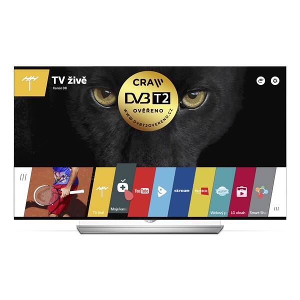 Televize LG 65EF950V stříbrný

