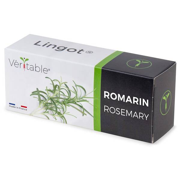 Semínka Véritable Lingot Rozmarýn 

