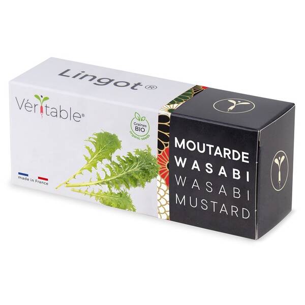 Semínka Véritable Lingot Wasabi hořčice listová - BIO 

