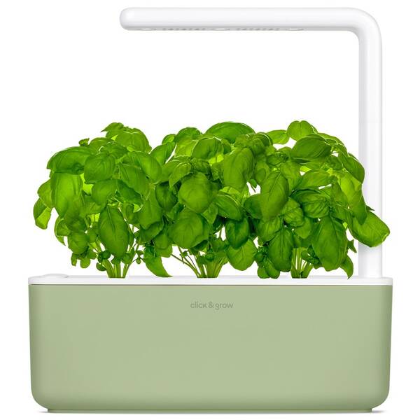 Chytrý květináč Click and Grow Smart Garden 3 šalvějový

