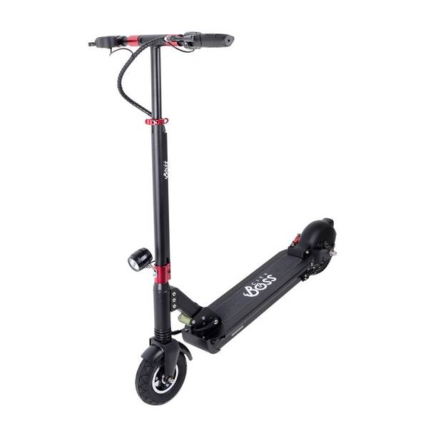 Elektrická koloběžka City Boss RX5 

