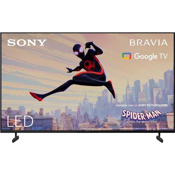 Televize Sony KD-65X80L 
