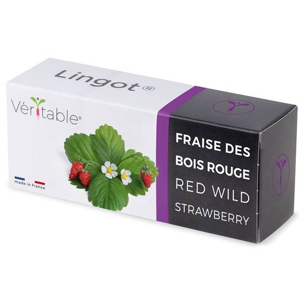 Semínka Véritable Lingot Divoké červené jahody 

